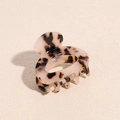 Nahaufnahme kleiner Haarklammer aus Acetat mit Leopardenmuster und Schildpatt-Detail - Helles Schildpatt