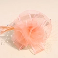 Dettaglio dell'acconciatura in rete color pesca con piume e perle per feste di nozze - Rosa