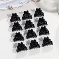 Dettaglio di undici mini mollette nere per capelli con finitura lucida su fondo bianco - Fiore Nero