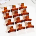 Set di 12 mini mollette per capelli color ambra in resina con molle resistenti e presa - Dritto Marrone