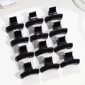 Vista dall'alto di 12 mini pinze per capelli nere lucide disposte in griglia 3x4 - Dritto Nero