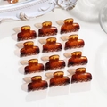 Set di 12 mini pinze per capelli ambra a corona, disposte in una griglia 4x3 - Ovale Quadrato Marrone