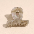 Dettaglio molletta per capelli in acetato marmorizzato con scritte Barrette La France - 4.2cm Sfumato Grigio Bianco