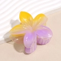 Dettaglio della molletta per capelli a fiore con sfumatura giallo-viola su base bianca - Sfumatura Giallo e Viola