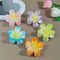 Detailed view of five gradient macaron flower hair claws for women in soft pastel tones - Flower Set