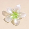 Détail de la pince à cheveux frangipanier blanc nacré avec dégradé vert et nacre chic - Vert