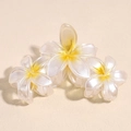 Makro-Detail von drei weißen Frangipani Haarklammern mit gelber Mitte auf beigem Hintergrund - Gelb