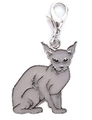Grey Sphynx cat metal keychain charm with silver lobster clasp on white background - Gray Sphynx