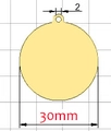 Gele 30mm ronde roestvrijstalen penning met 2mm gat voor graveren van huisdier ID - Goud 30mm