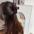 Close-up of a large dark brown acetate hair claw clip on brunette hair from behind - Brown