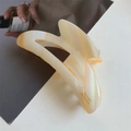 Détail d'une pince à cheveux en acétate de style français avec lettrage doré et fini irisé - 10cm x 4cm