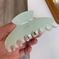 Elegant mint green acetate hair claw clip with golden Barrette la France lettering - Light Green