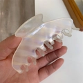 Detailed macro view of large iridescent resin hair claw with gold Barrette La France text - Lightning White