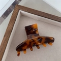 Dettaglio di un fermaglio per capelli ambra con scritta dorata Barrette La France - Ambra Caffè