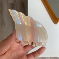 Pinza per capelli a conchiglia creativa con finitura perlata e dettagli in oro - Stile Conchiglia Piccola / 7.5x6cm / Perlato iridescente