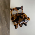 Pinza para el pelo con forma de búho en acetato de carey marrón y detalles dorados - Loro Estampado Leopardo