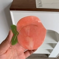 Pince à cheveux pêche en acétate rose avec feuilles vertes et texture effet marbre - Pince Pêche Rose Chaud