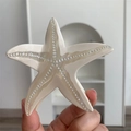 Gros plan détaillé d'une pince à cheveux étoile de mer en acétate nacré avec finition - Forme d'étoile de mer / Longueur 9.3cm Largeur 8.5cm / Blanc Cassé