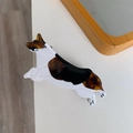 Λεπτομερής προβολή κλαμερ μαλλιών Corgi από οξική κυτταρίνη με γυαλιστερό φινίρισμα - Στυλ Σκύλου που Περπατά