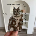 Creative gray tabby cat acetate hair claw clip for women, size 8.5cm by 4.8cm - Forest Cat