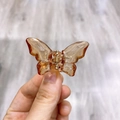 Makroaufnahme einer bernsteinfarbenen Schmetterlings-Haarklammer mit goldener Metallfeder - Dunkelbeige