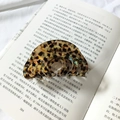 Dettaglio di un fermaglio per capelli tartarugato su una pagina di libro antico - Floreale Marrone