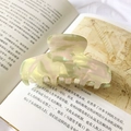 Macro shot of 9cm iridescent pastel hair claw clip with shell texture on an open book - 9cm / Pink Green Floral