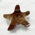 Macro detail of starfish hair claw with amber gold glitter texture on white background - Coffee