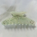 Pince à cheveux étoile de mer vert menthe avec strass au design français élégant - Rayé Vert