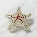 Pinza para el pelo estrella de mar en resina perlada con pedrería roja y gema rosa central - Blanco Sirena