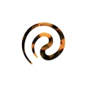 Pasador de pelo en espiral de carey minimalista para peinados de moño elegantes - Color Oscuro