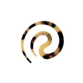 Dilatador de oreja en espiral con patrón de carey ámbar y acabado de resina pulida - Color Claro