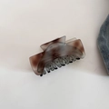 Dettaglio della pinza per capelli sfumata marrone con testo dorato Barrette La France - 3# Tartaruga Grigia