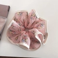 Vista dettagliata dell'elastico rosa chiaro con fiori, rete a pieghe e bordo rifinito - Rosa