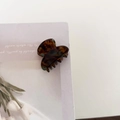 Detail of small tortoiseshell acetate hair claw clip on floral magazine background - Blue Coffee