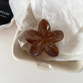 Amber floral hair claw clip with glossy finish in sustainable cardboard box packaging - Brown