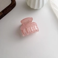 Pink translucent claw clip for women, minimalist hair accessory on a wooden tray - Pink (1#)