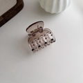 Minimalist translucent brown-purple small hair claw clip for elegant hairstyles - Translucent Coffee (3#)