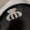 Macro view of iridescent French style hair claw clip with Barrette La France gold lettering - 3# Mermaid Pearl