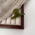 Pinza per capelli verde scuro in acetato con scritta dorata su vassoio in legno - Piccolo / Verde