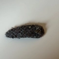 Fermaglio per capelli in tweed grigio con diamante di cristallo e orsetto resina - Fermaglio a Goccia in Peluche Grigio con Orso