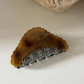 French design acetate hair claw with tortoise shell pattern and wavy edges for women - 4# Champagne Wavy Edge Claw Clip
