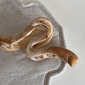 Detail view of brown amber marble hair claw clip with golden spring on grey fabric - Wave Claw Clip / Yellow Amber Texture