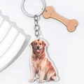 3D Golden Retriever keychain with bone charm pendant on a white textured background - Golden Retriever Style (款式二)