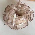 Détail d'un grand chouchou beige en tulle avec plis et doublure intérieure en satin chic - Chouchou en Dentelle / Chouchou en Dentelle Beige Thé au Lait