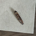 Vista dettagliata della clip ovale per capelli con stampa leopardata su sfondo di lino - Clip a Striscia Lunga Leopardata