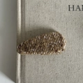 Macro shot of brown plush fuzzy BB hair clip on a book edge with warm cozy lighting - Milk Tea Plush Hair Clip