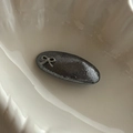 Barrette ovale gris foncé avec nœud argenté élégant posée dans un plat en céramique - 7# Gris Ovale Nœud Pince