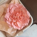 Dettaglio del fermaglio per capelli a pivoine pesca con trama in tessuto e scatola - Grande Clip a Fiore Arancione
