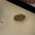 Detail of pink and brown tweed woven plaid hair clip on beige fabric background - Pink Khaki Striped Oval